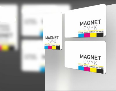 Magnet